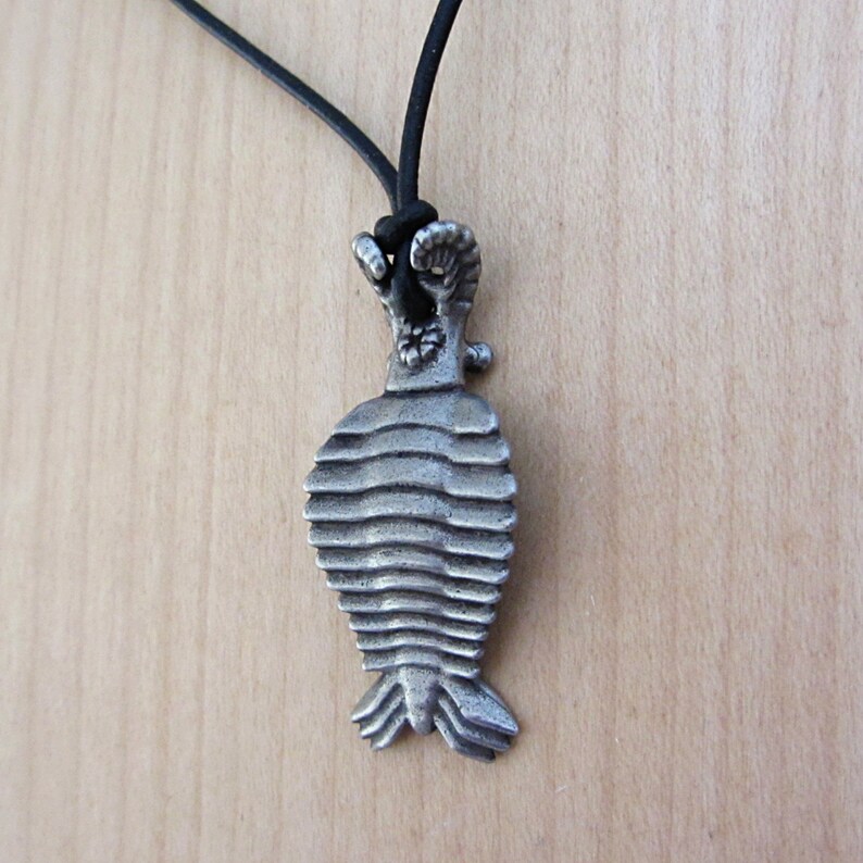 Anomalocaris Necklace - Cambrian Paleontology Pendant image 6