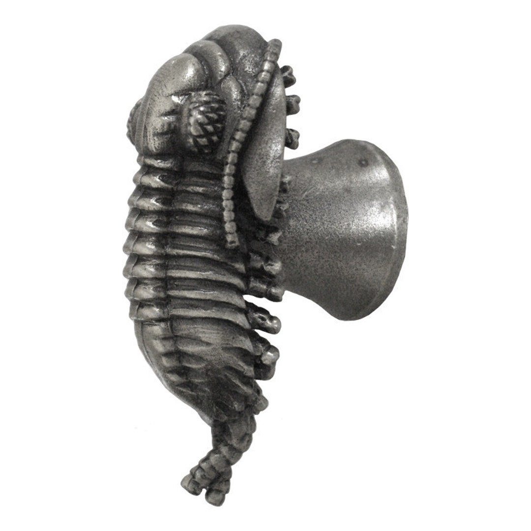 Trilobite Drawer Pull - Cambrian Fossil Cabinet Knob - Etsy