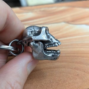 Puede incluir: Un llavero de metal plateado con forma de cr&aacute;neo de primate de perfil. El cr&aacute;neo presenta un acabado texturizado y desgastado con mand&iacute;bula, dientes visibles y una anilla met&aacute;lica circular unida a la parte posterior para sujetar las llaves.