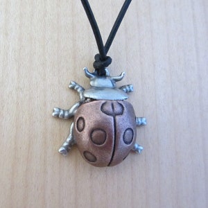 May include: A ladybug pendant necklace. The pendant is a detailed metal ladybug with a copper-colored body and silver-colored head and legs. The necklace has a black cord.