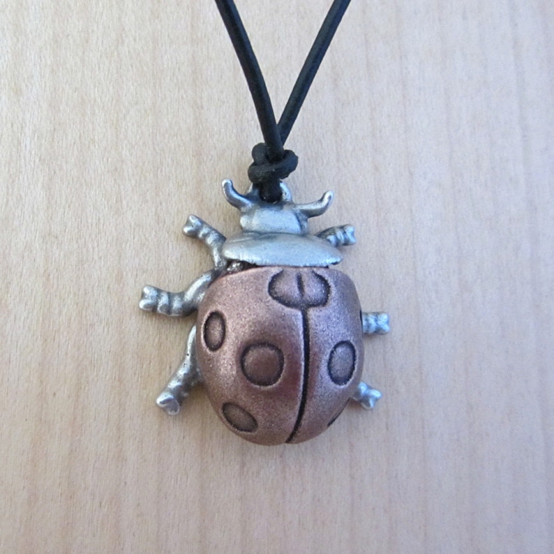May include: A ladybug pendant necklace. The pendant is a detailed metal ladybug with a copper-colored body and silver-colored head and legs. The necklace has a black cord.