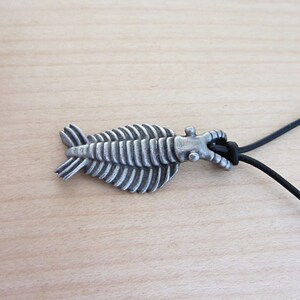 Anomalocaris Necklace - Cambrian Paleontology Pendant image 7