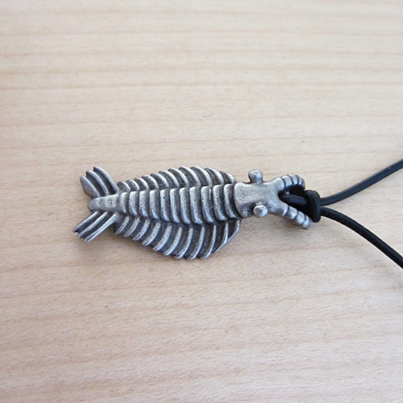Anomalocaris Necklace - Cambrian Paleontology Pendant image 7