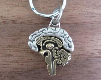Articulating Human Brain Anatomy Keychain
