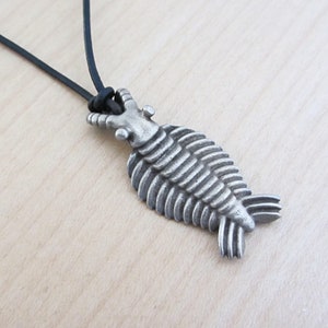 Anomalocaris Necklace - Cambrian Paleontology Pendant image 4