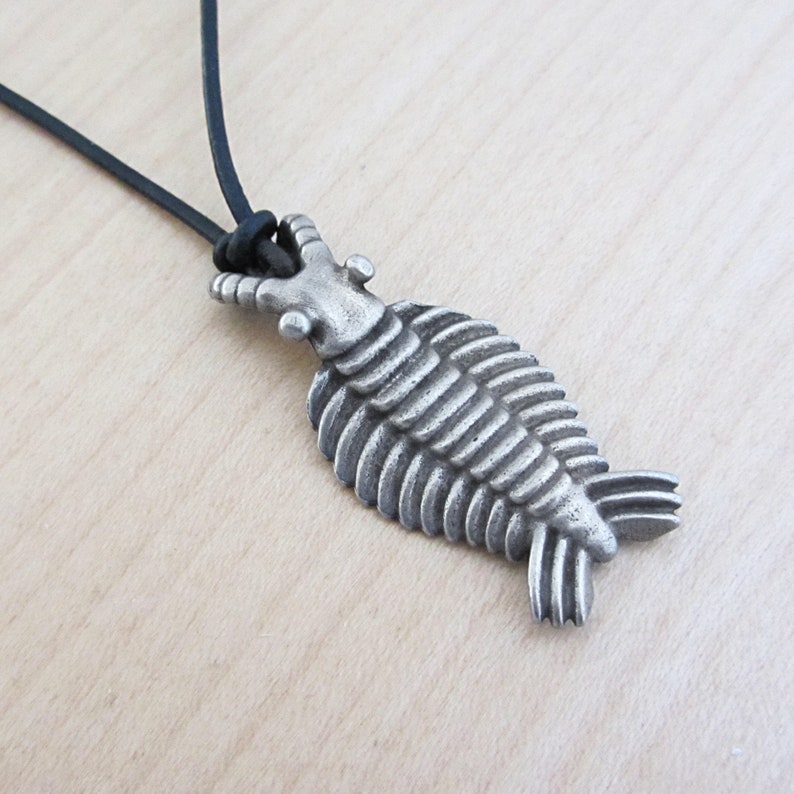 Anomalocaris Necklace - Cambrian Paleontology Pendant image 4