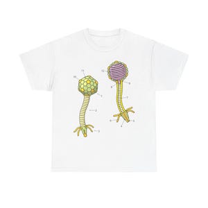May include: White t-shirt with a diagram of two different types of cells. The cells are labeled with numbers 1 through 12. The cells are yellow, green, purple, and orange.