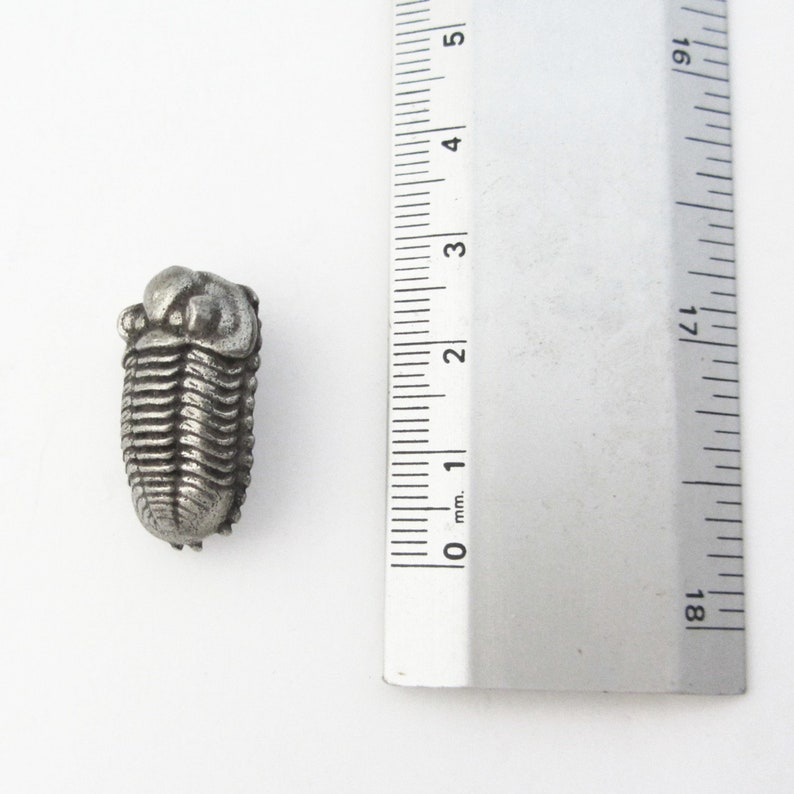 May include: A silver-colored metal trilobite fossil replica, approximately 1 inch in length, is shown next to a ruler.