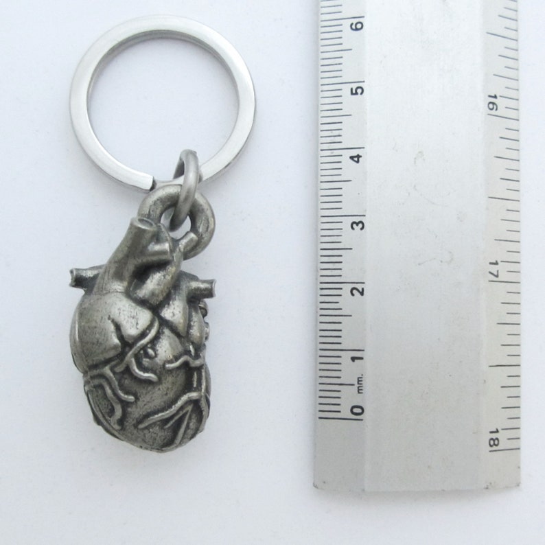 Human Heart Anatomy Keychain Cardiology Locket Etsy