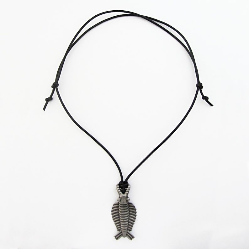Anomalocaris Necklace - Cambrian Paleontology Pendant image 10