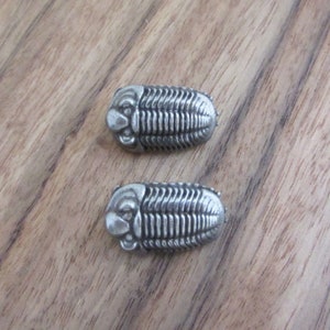 May include: Two silver-colored trilobite-shaped earrings. The earrings are detailed with segmented body parts and a raised head.