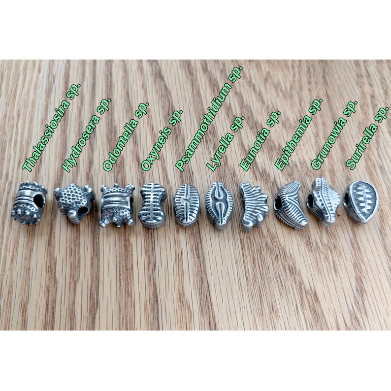 May include: A set of ten silver-toned metal beads, each featuring a unique textured pattern and labeled with text including Thalassiosira sp., Hydrosera sp., Odontella sp., Oxyneis sp., Psammothidium sp., Lyrella sp., Eunotia sp., Epithemia sp., Grunowia sp., and Surirella sp.