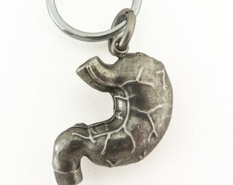 May include: A silver-colored keychain pendant shaped like a human stomach. The pendant has detailed vein-like markings and is attached to a silver keyring. The background is plain white.