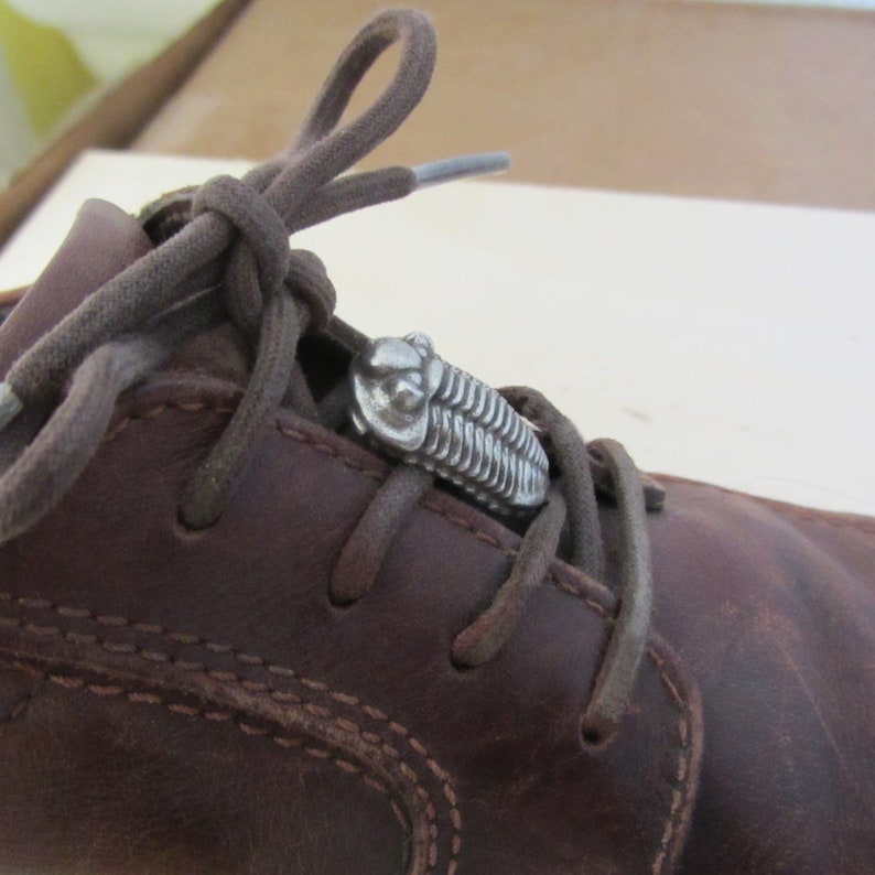 May include: Brown leather shoe with a silver trilobite charm on the laces.