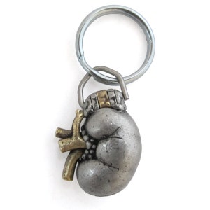 Human Kidney Keychain - Renal Anatomy Keyring