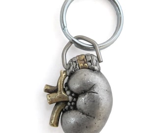 Human Kidney Keychain - Renal Anatomy Keyring