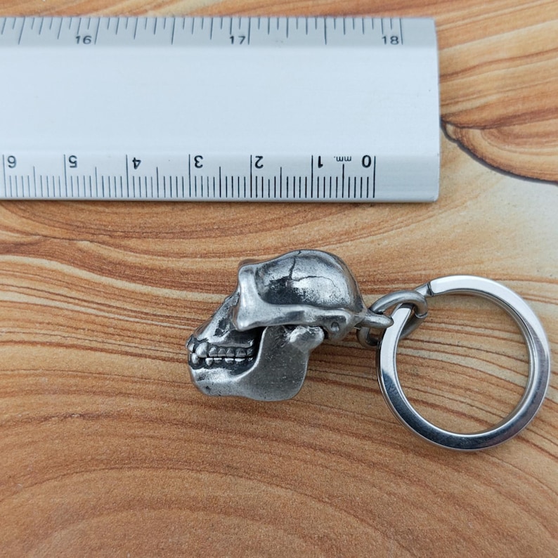 Puede incluir: Un llavero de metal plateado con un dije detallado en forma de cr&aacute;neo de primate. El cr&aacute;neo est&aacute; colocado junto a una regla blanca, mostrando que el dije mide aproximadamente 3,2 cm de largo. El llavero incluye una argolla met&aacute;lica circular.