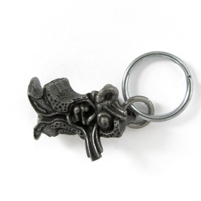 Human Ear Keychain Ear Anatomy Keychain Inner Ear Etsy