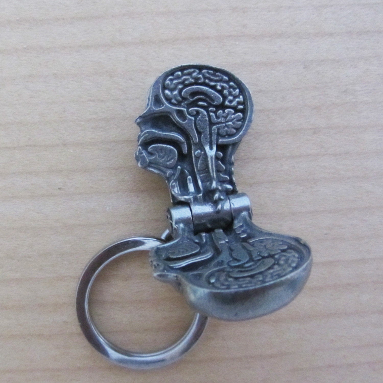 Anatomical Human Head Keychain Human Anatomy Keychain Etsy