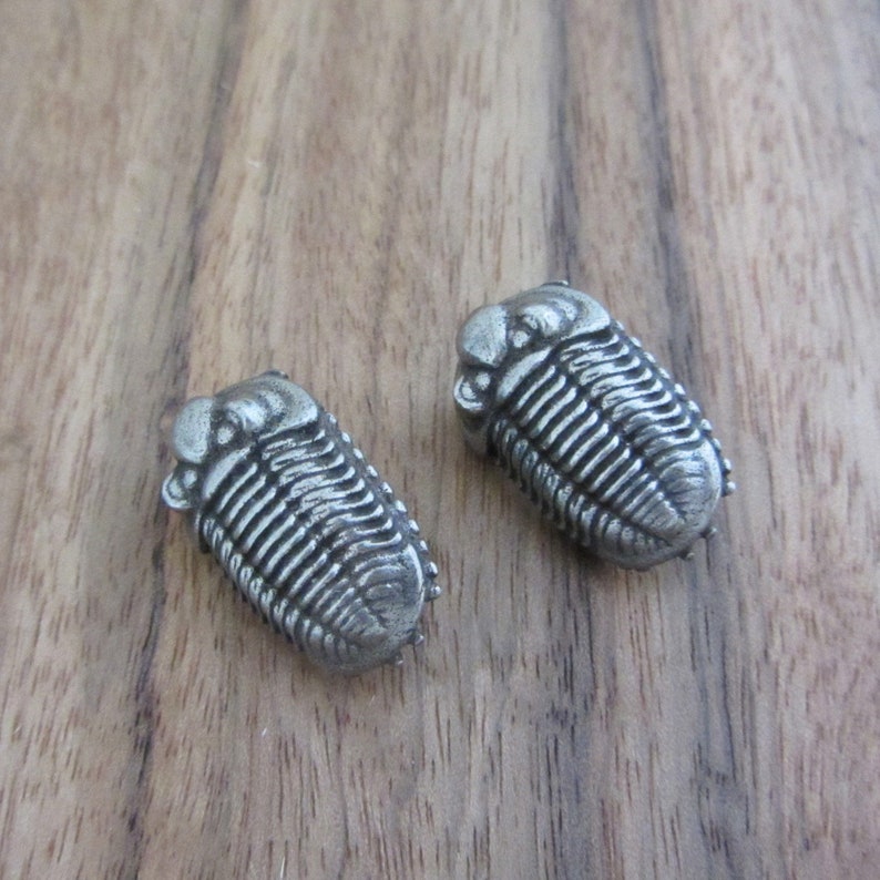 May include: A pair of silver-toned earrings shaped like trilobites, a type of extinct marine arthropod.