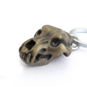 Sale Item - Cave Bear Ursus speleus Skull Keychains with Brass Finish