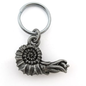 Ammonite Keychain - Fossil Keychain, Paleontology, Cephalopod, Mollusc