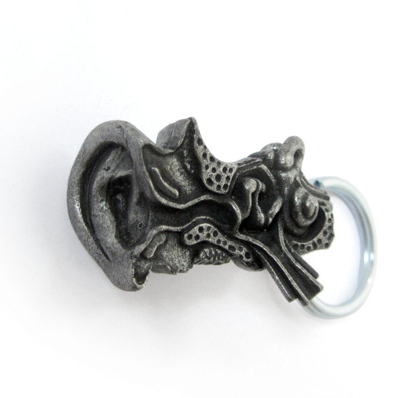 Human Ear Keychain Ear Anatomy Keychain Inner Ear Etsy