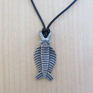 Anomalocaris Necklace - Cambrian Paleontology Pendant image 5