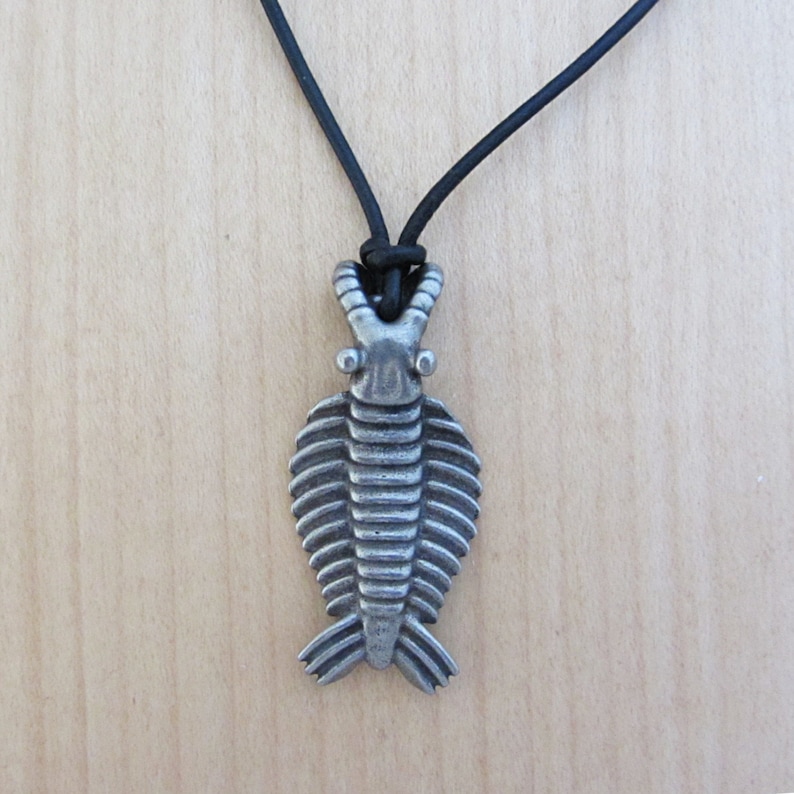 Anomalocaris Necklace - Cambrian Paleontology Pendant image 5