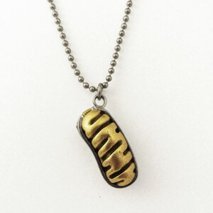 May include: A silver chain necklace with a gold pendant shaped like a pod or seed. The pendant has a textured surface.