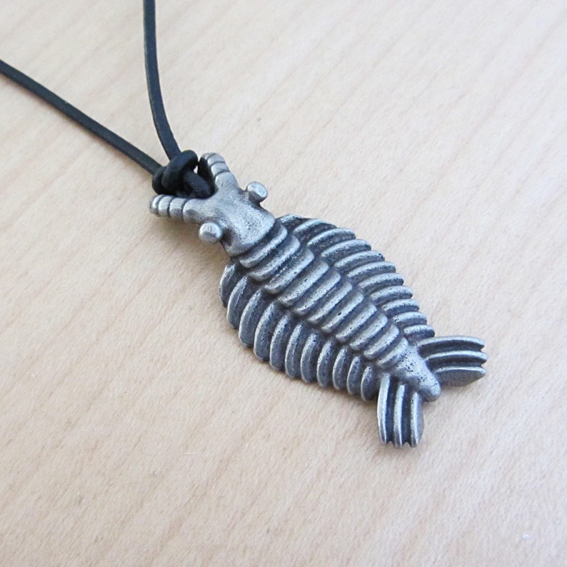 Anomalocaris Necklace - Cambrian Paleontology Pendant image 2