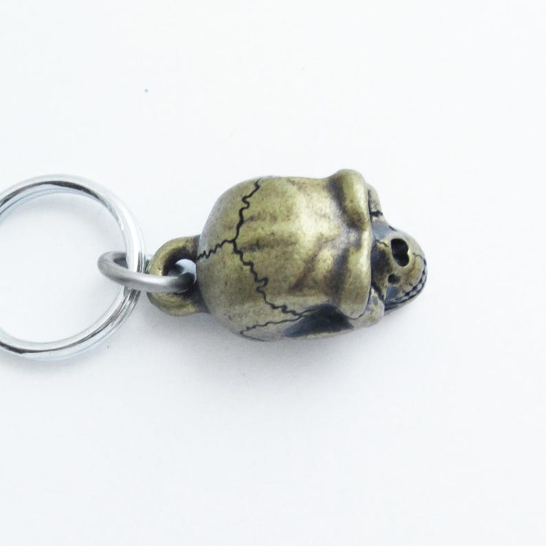 Sale Item - Homo Erectus Skull Keychain with Brass Finish image 3