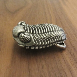 May include: A silver-toned metal belt buckle shaped like a trilobite fossil. The object features a segmented, elongated body with a rounded head section, prominent textured eyes, and a series of parallel ridges along its back, with a metal loop.