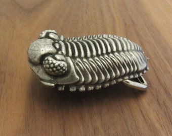 Trilobite Belt Buckle -  Pewter Phacopid