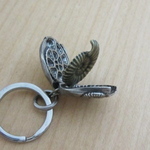 May include: A detailed, openwork metal keychain pendant shaped like a seed pod, revealing a fossilized ammonite. The pendant is attached to a silver-colored split ring. The ammonite is a spiral shape with a textured surface.