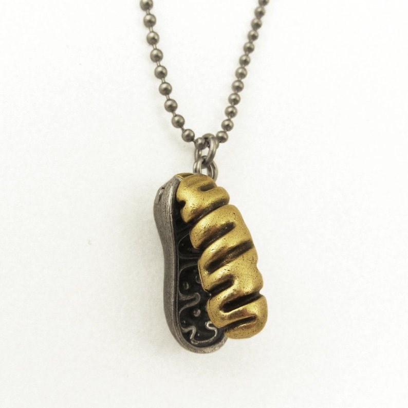 May include: A silver chain necklace with a gold and silver pendant shaped like a peanut.