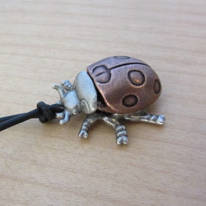 May include: A ladybug pendant with a copper-colored shell and silver-colored head and legs. The ladybug is attached to a black cord. The pendant is approximately 1 inch long.