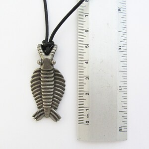 Anomalocaris Necklace - Cambrian Paleontology Pendant image 9