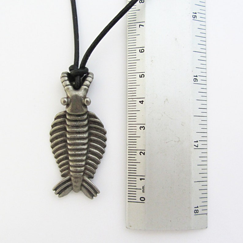 Anomalocaris Necklace - Cambrian Paleontology Pendant image 9