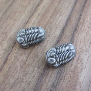 May include: Two silver-colored trilobite fossil replicas. The trilobites are detailed with segmented bodies and raised eyes.
