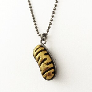 May include: A gold-colored pendant shaped like a pill or capsule hangs from a silver chain. The pendant has a textured surface.