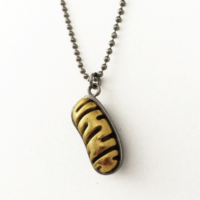 May include: A gold-colored pendant shaped like a pill or capsule hangs from a silver chain. The pendant has a textured surface.