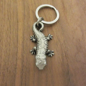May include: A silver metal lizard keyring. The lizard has a textured body with small circular patterns and four tiny feet. The keyring is silver and attached to the lizard's head. The background is a wooden surface.
