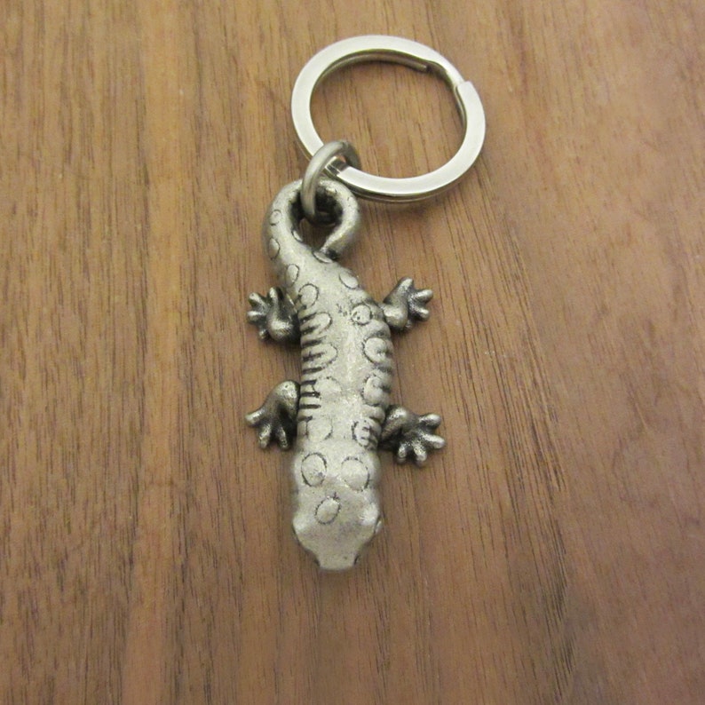 May include: A silver metal lizard keyring. The lizard has a textured body with small circular patterns and four tiny feet. The keyring is silver and attached to the lizard's head. The background is a wooden surface.
