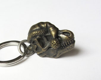 Sale Item - Holiday Tyrannosaurus rex Skull with Brass Finish