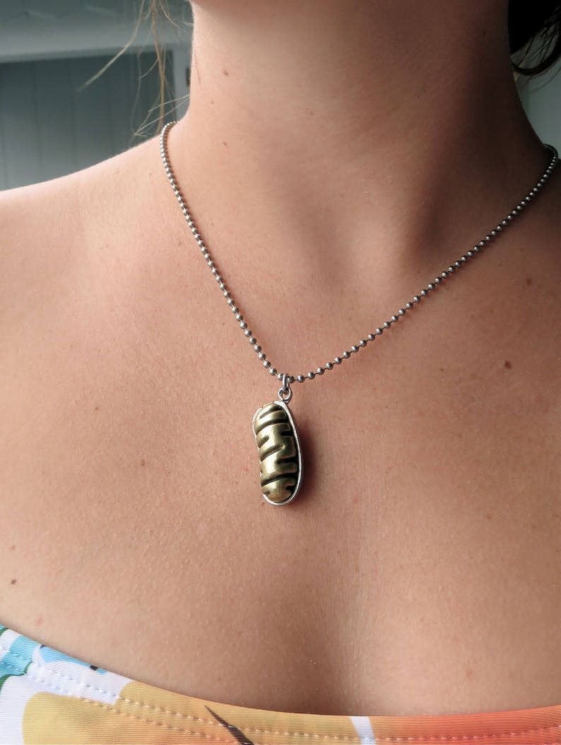 May include: A silver chain necklace with a gold pendant shaped like a long, thin, segmented pod.