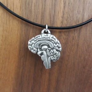 Collar con colgante de cerebro humano: cerebro y neurología