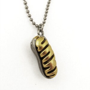 May include: A silver chain necklace with a gold-colored pendant shaped like a pill capsule.