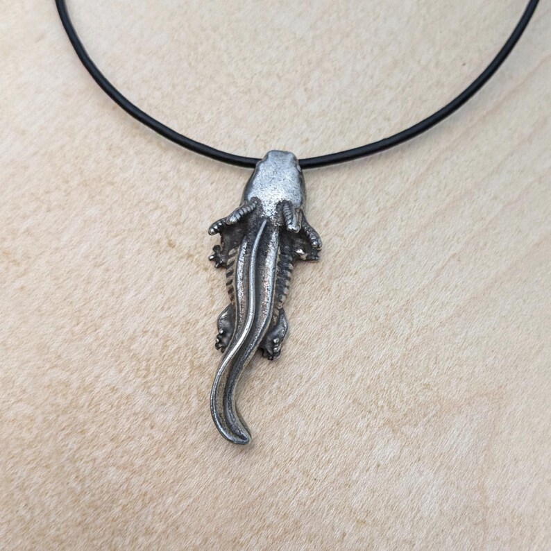 May include: A silver-colored pendant in the shape of a tadpole, suspended from a black cord necklace. The pendant features detailed textures and a curved tail. The necklace is displayed against a light-colored background.