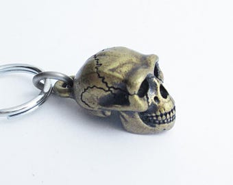 Sale Item - Homo Erectus Skull Keychain with Brass Finish